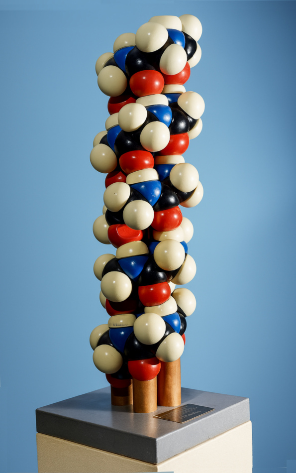 Modelo tridimensional de la hélice alfa construido por Linus Pauling en 1951, conservado en la Universidad Estatal de Oregón