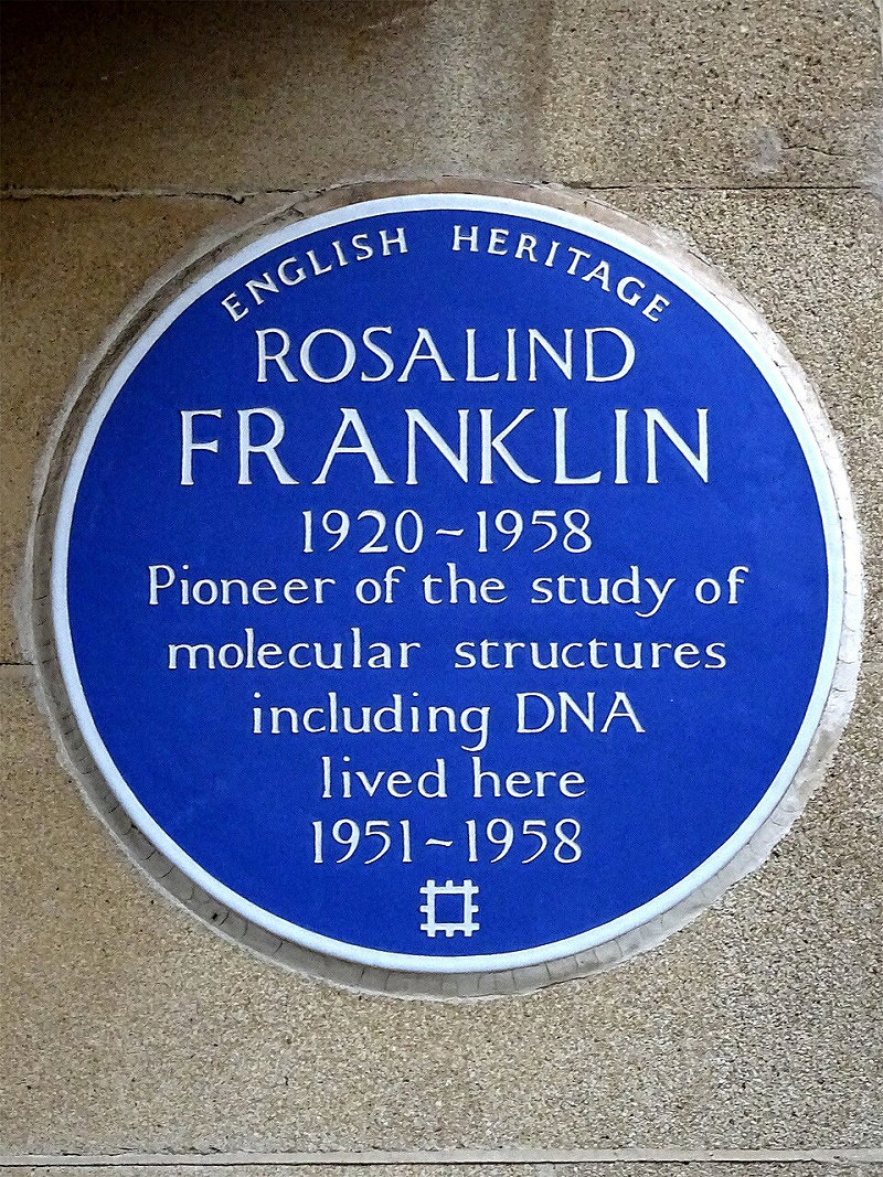 Blue plaque honouring Rosalind Franklin, 1920–1958, pioneer of the study of molecular structures including DNA. Erected by English Heritage at Donovan Court, London.